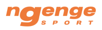 ngenge logo